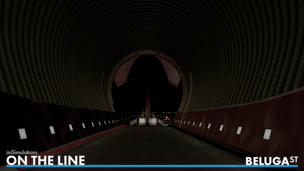 iniSimulationsBelugaST-Feb-Preview-11.png