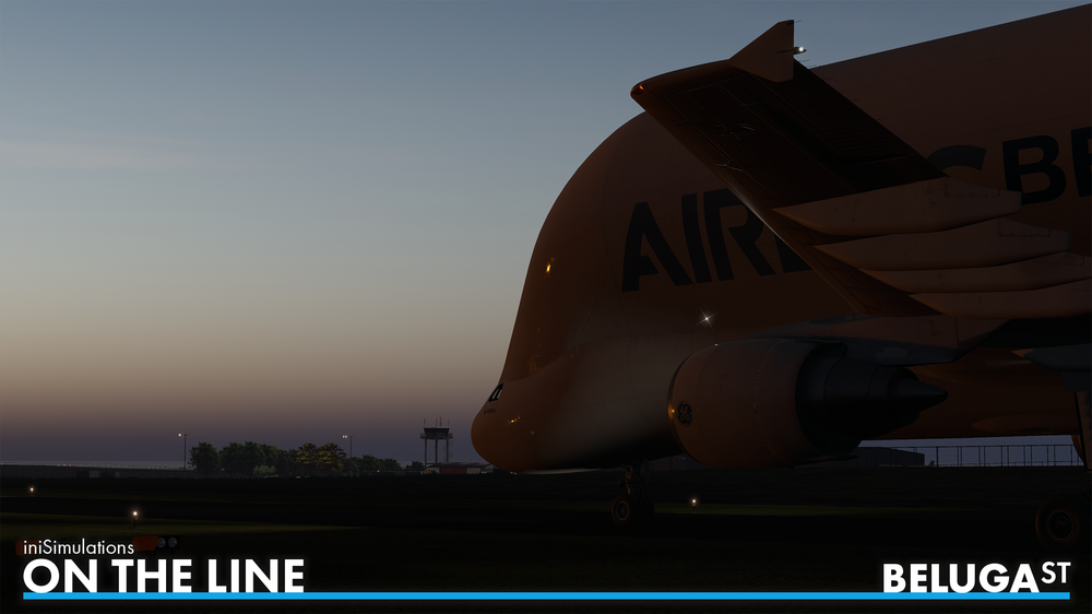 iniSimulationsBelugaST-Preview4.png