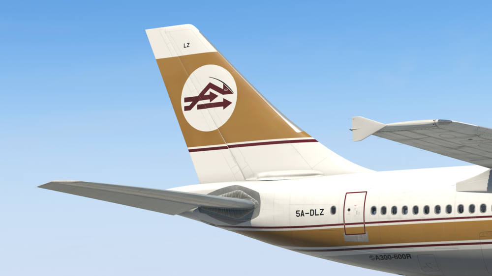 Libyan A300 1 .png