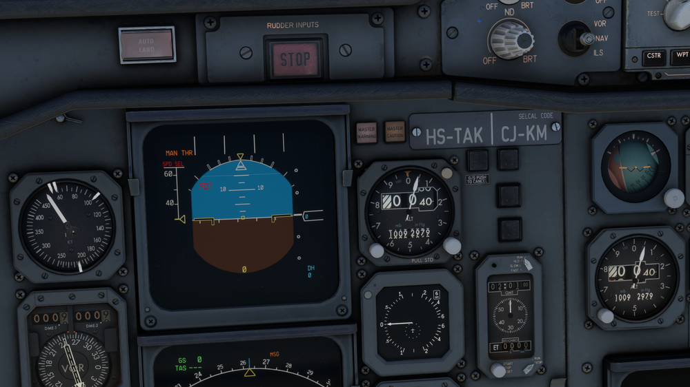 Microsoft Flight Simulator Screenshot 2024.07.20 - 10.01.04.72.png