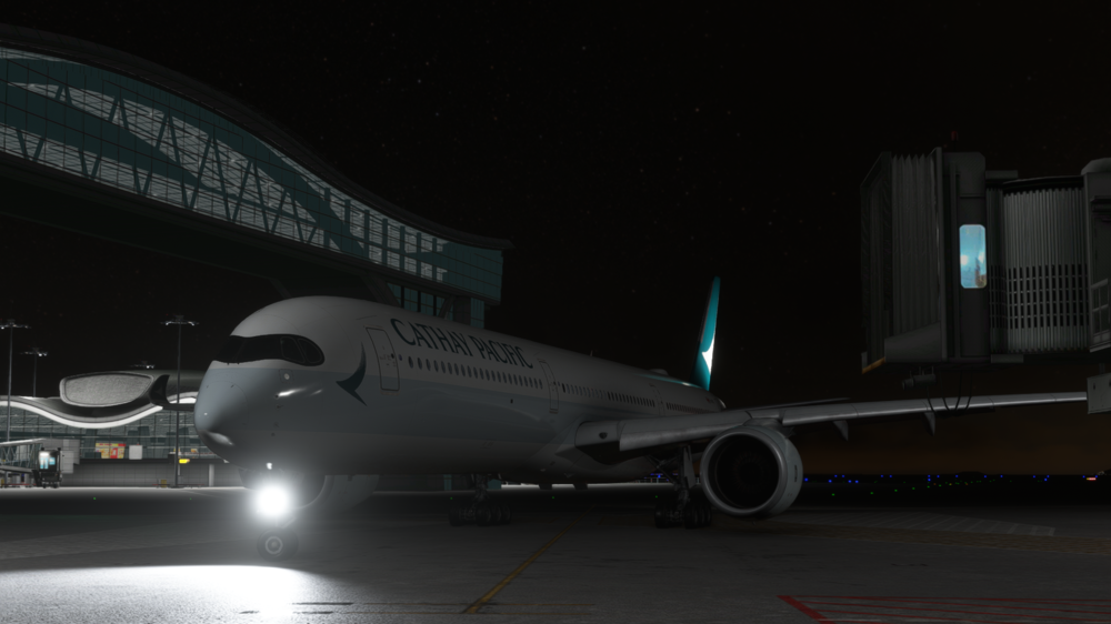 Microsoft Flight Simulator 27_02_2025 20_34_50.png