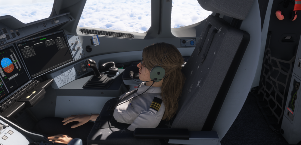 Microsoft Flight Simulator 2024 30_03_2025 15_15_48.png