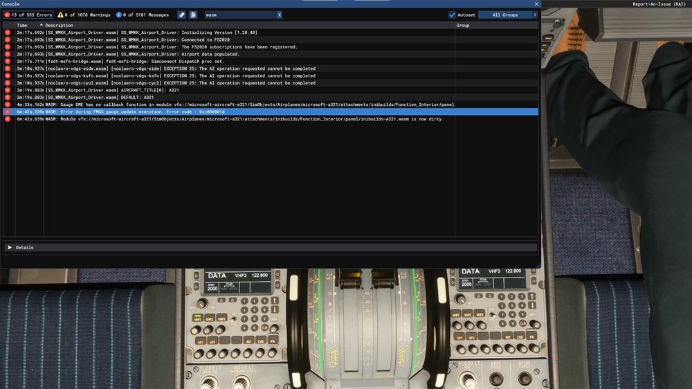 WASM crash A321LR.jpg