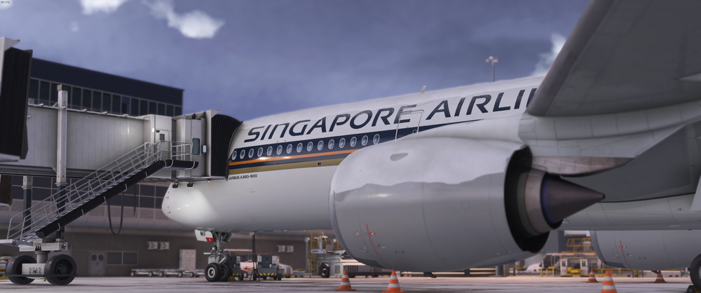 Microsoft Flight Simulator 2024 Screenshot 2025.05.08 - 14.48.53.06.png