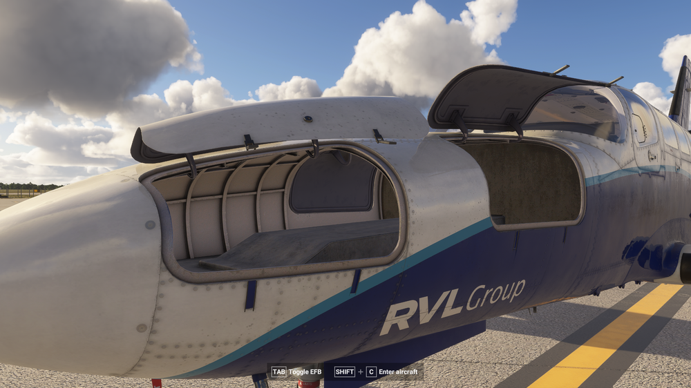 FlightSimulator2024 2025-07-11 22-03-36_956.png