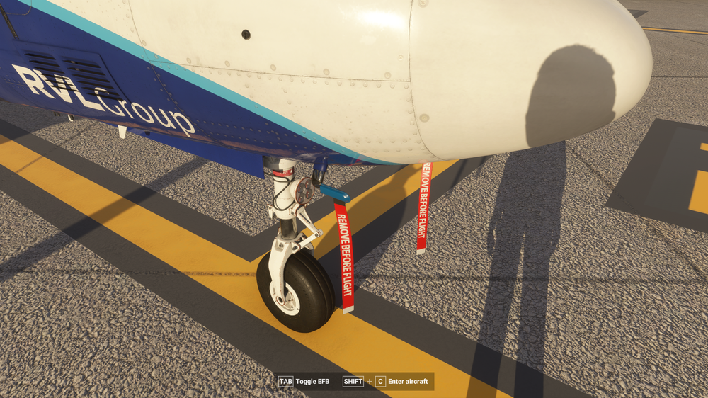 FlightSimulator2024 2025-07-11 22-04-24_985.png