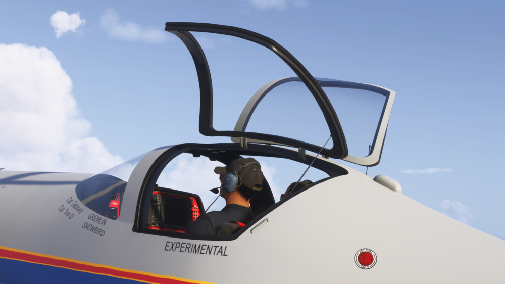 FlightSimulator2024_rx0mV0rwpe.png