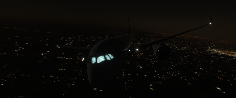 Microsoft Flight Simulator 2024 5_2_2026 10_55_46 PM.png