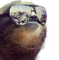 t_sum